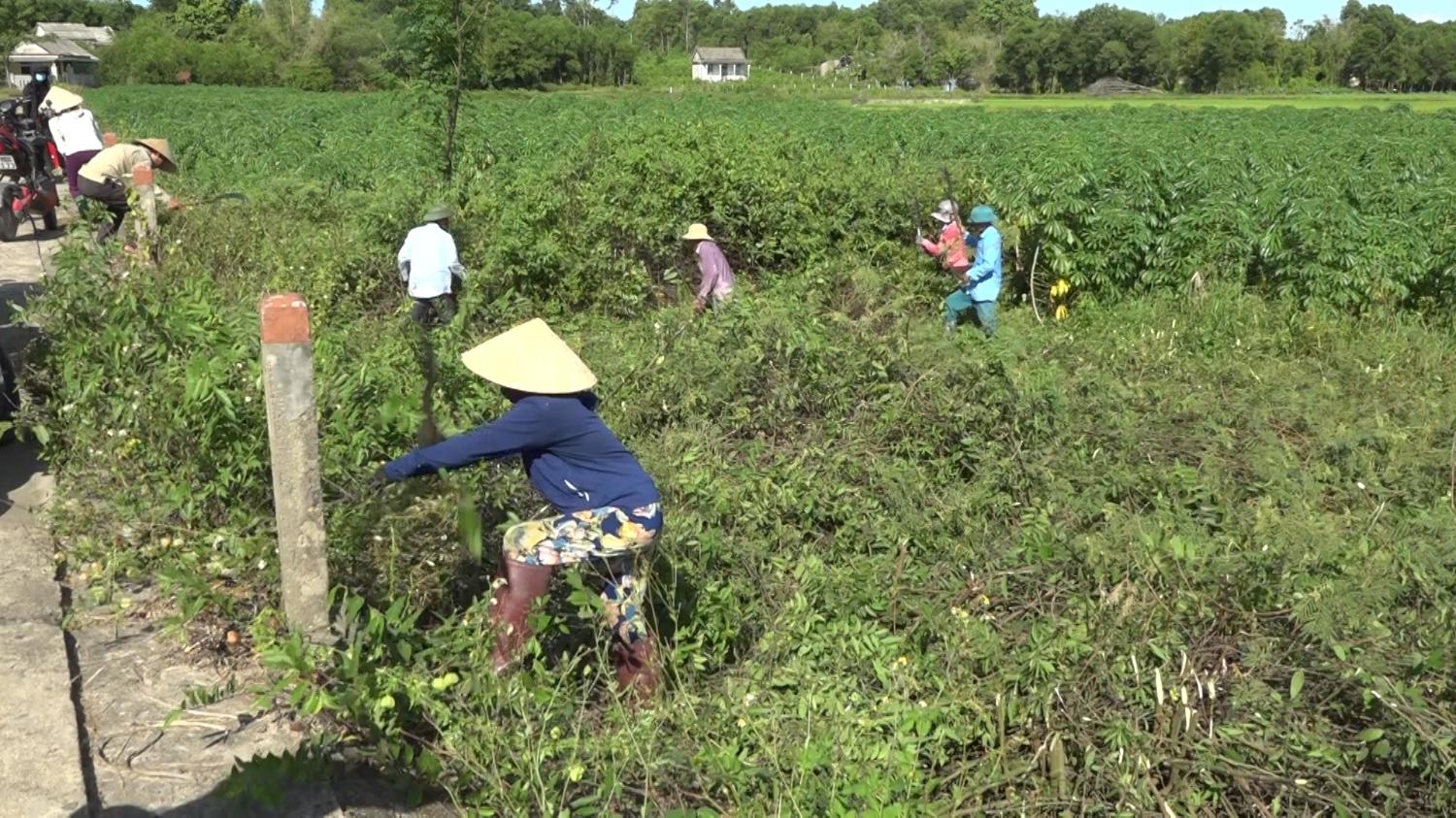 Toàn cảnh lễ phát động