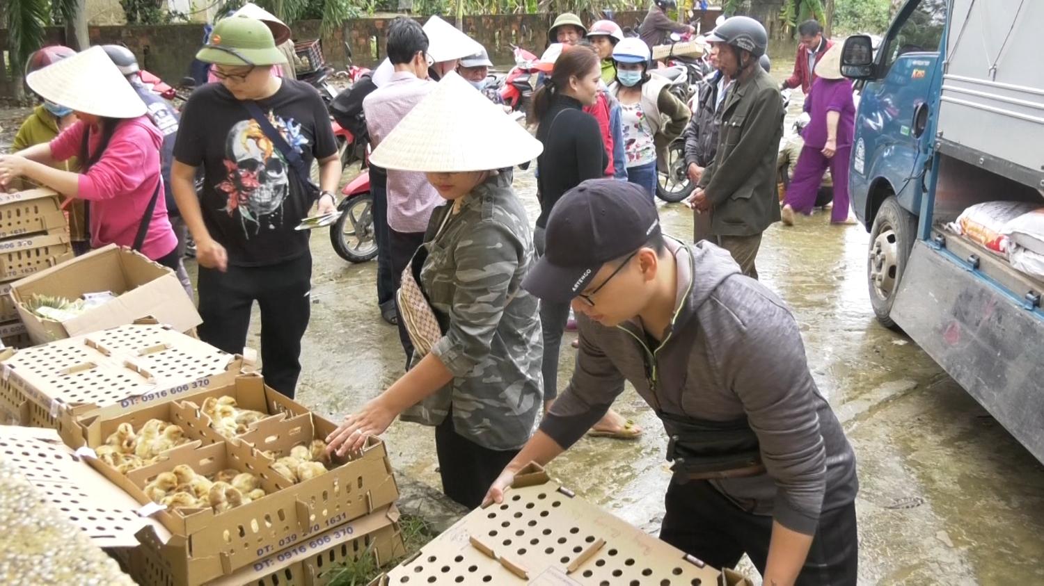 Toàn cảnh lễ phát động