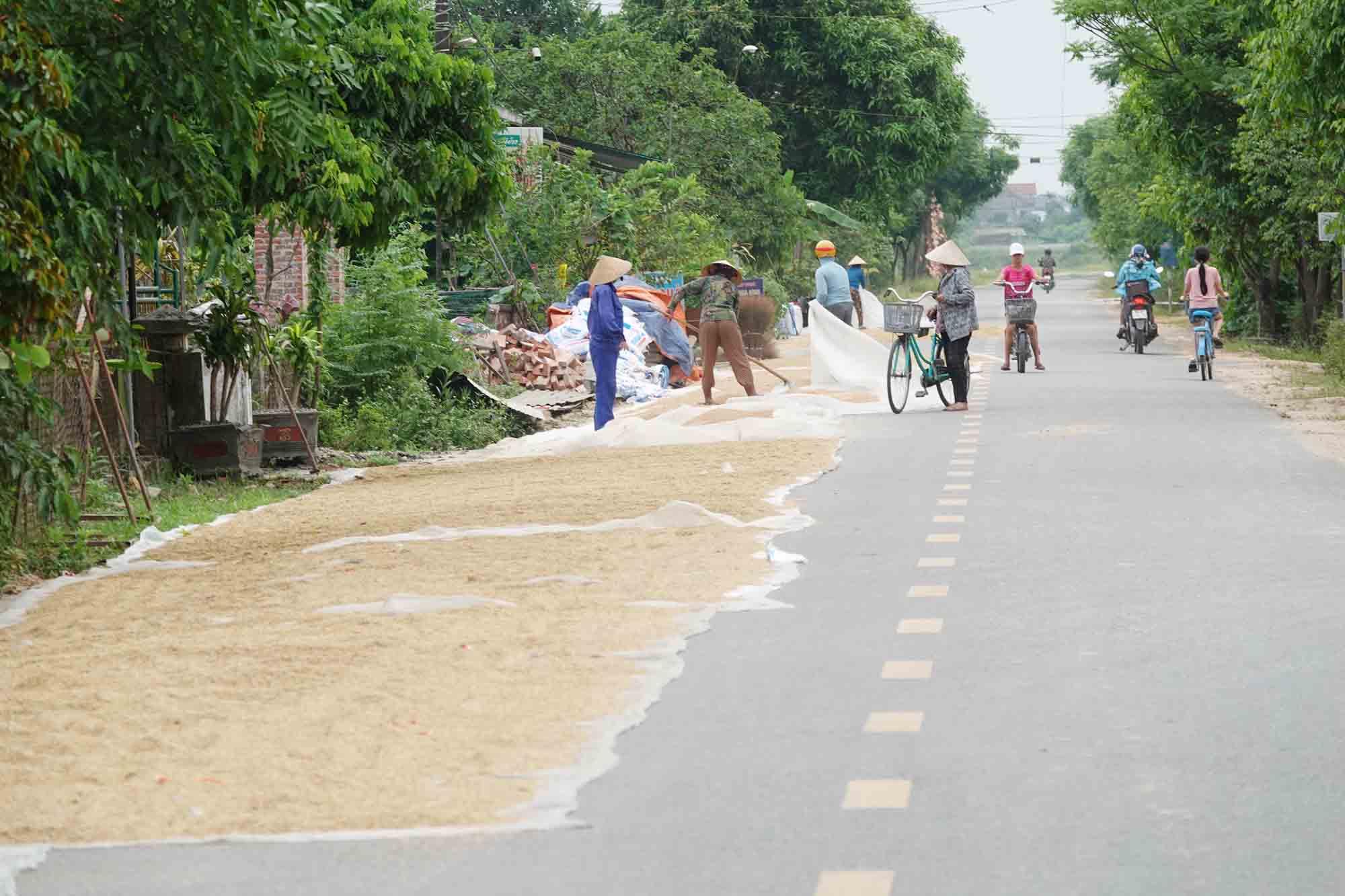 Người dân không được phơi thóc, lúa, rơm rạ trên đường giao thông