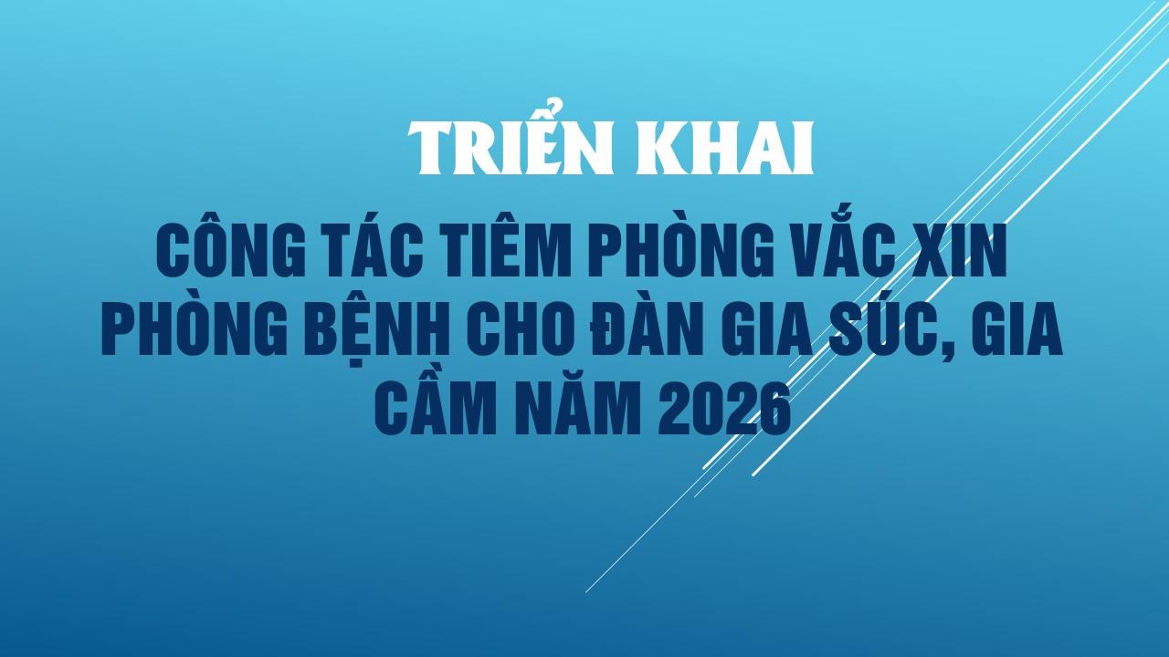 Triển khai công tác tiêm phòng vắc xin phòng bệnh cho đàn gia súc, gia cầm 2026