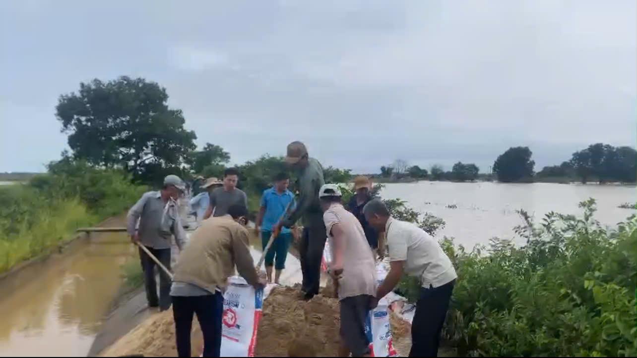Toàn cảnh lễ phát động
