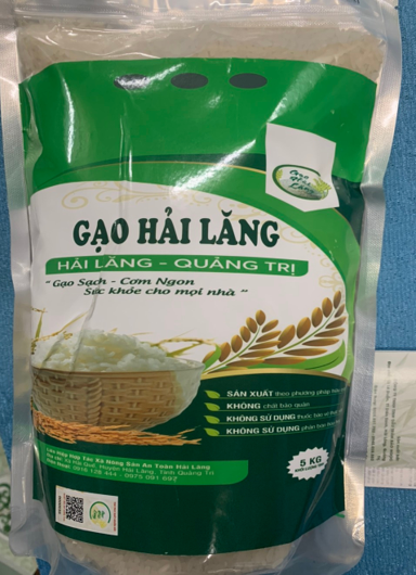 Toàn cảnh lễ phát động