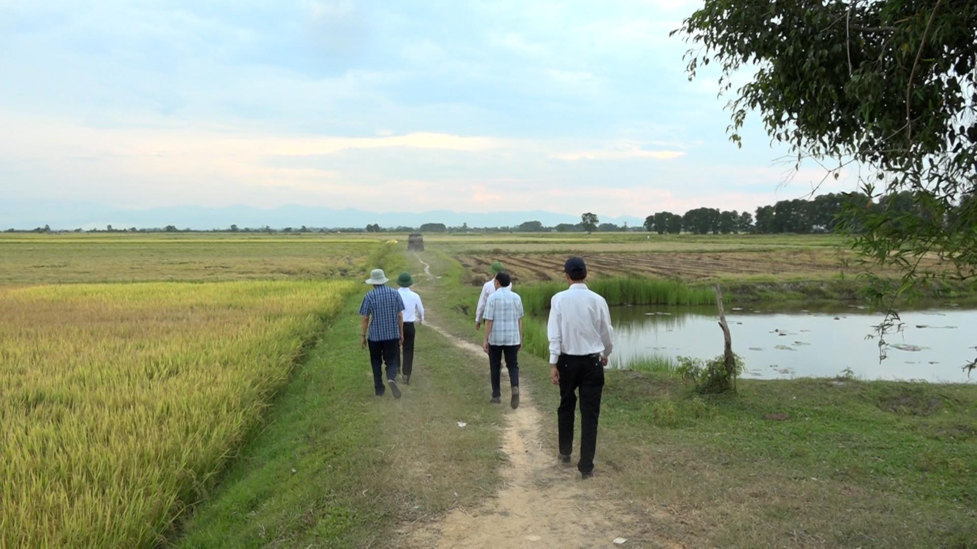 Toàn cảnh lễ phát động