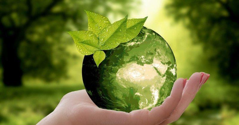 Luật Bảo vệ môi trường và trách nhiệm phân loại rác thải tại nguồn