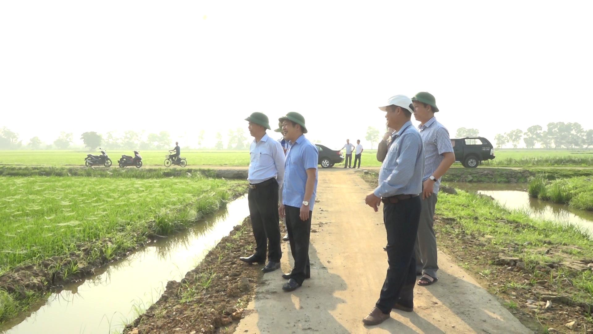 Lãnh đạo huyện Hải Lăng kiểm tra tình hình sản xuất nông nghiệp đầu năm
