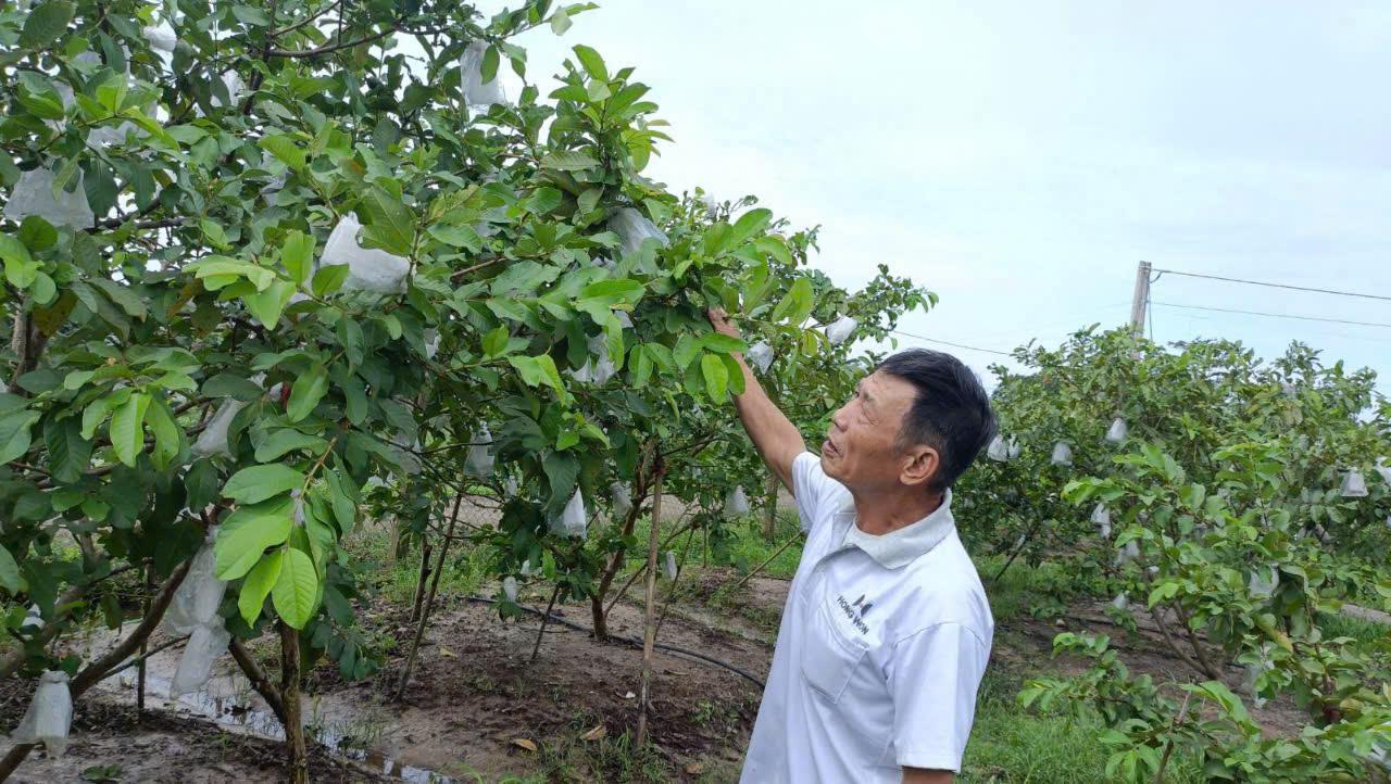 Toàn cảnh lễ phát động