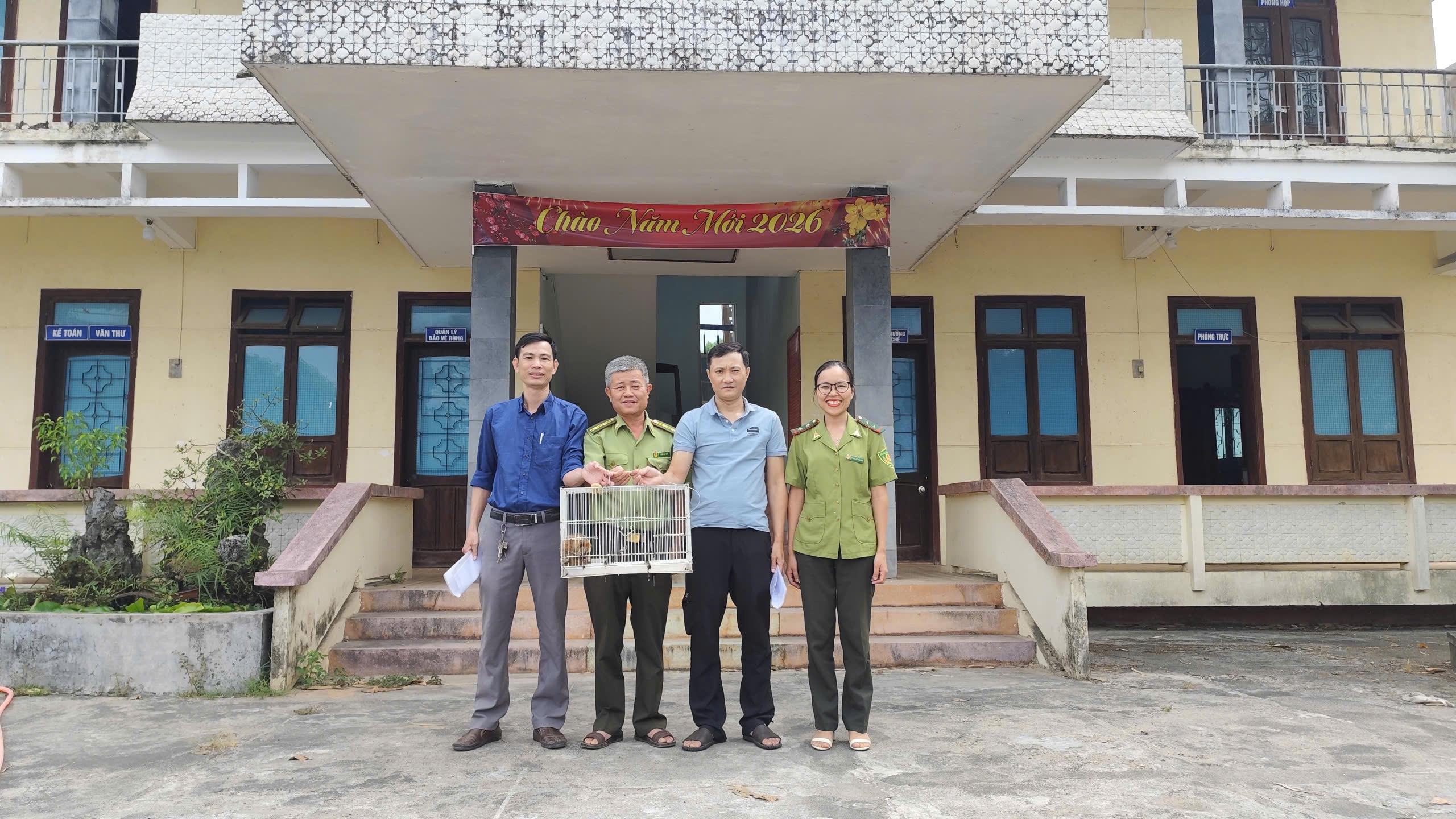 Hạt Kiểm lâm Hải Lăng phối hợp UBND xã Hải Lăng tiếp nhận 01 cá thể Cu li nhỏ (tên khoa học Nycticebus...